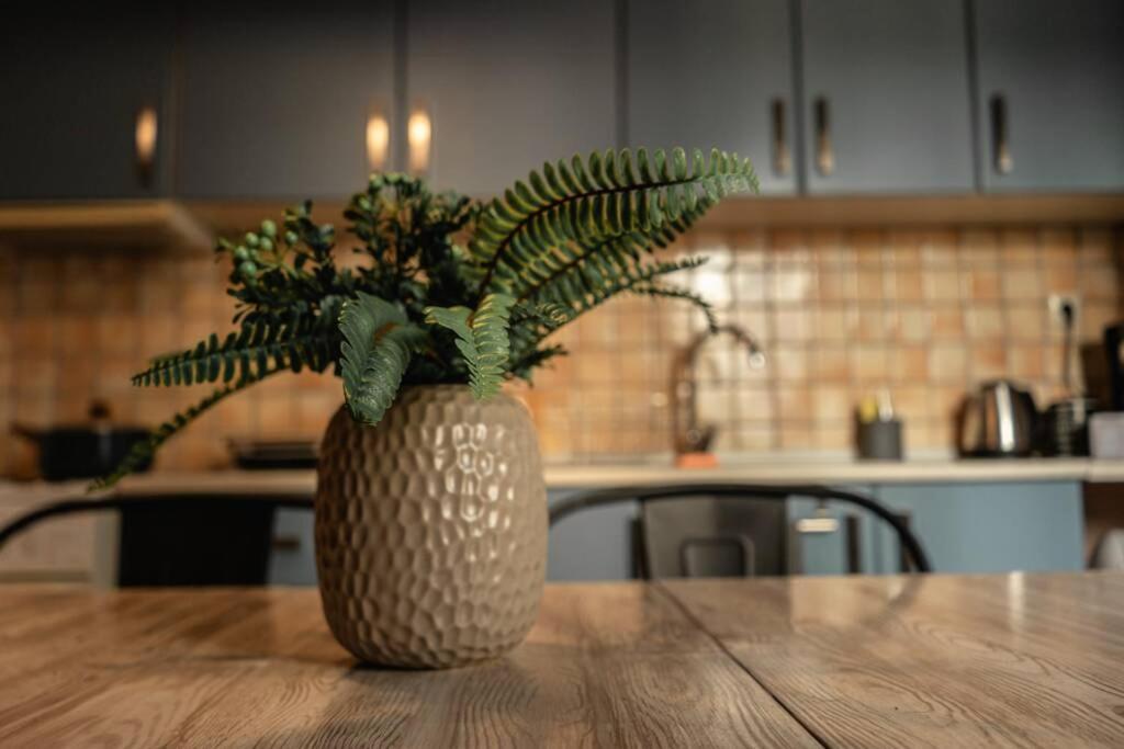Aigli'S Urban Lodge Volos Ngoại thất bức ảnh