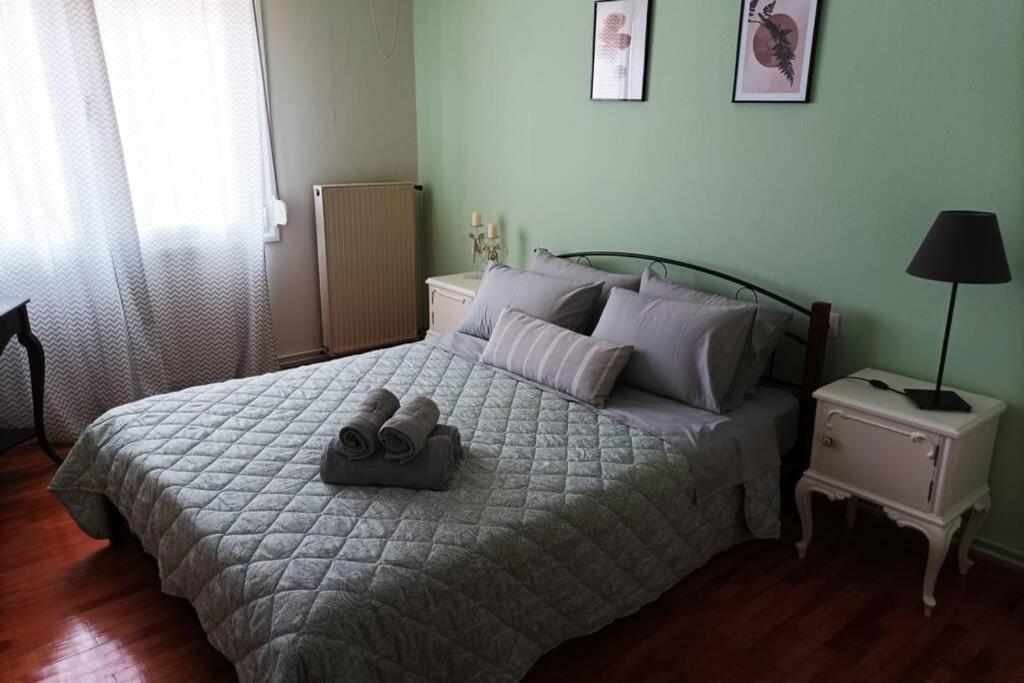 Aigli'S Urban Lodge Volos Ngoại thất bức ảnh